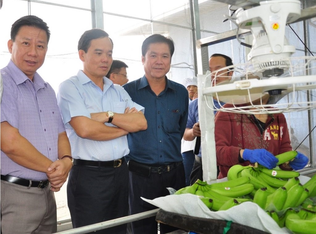 VRG có nhiều lợi thế phát triển nông nghiệp ứng dụng công nghệ cao quy mô lớn và bền vững